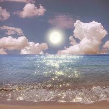 Ảnh đại diện Anita